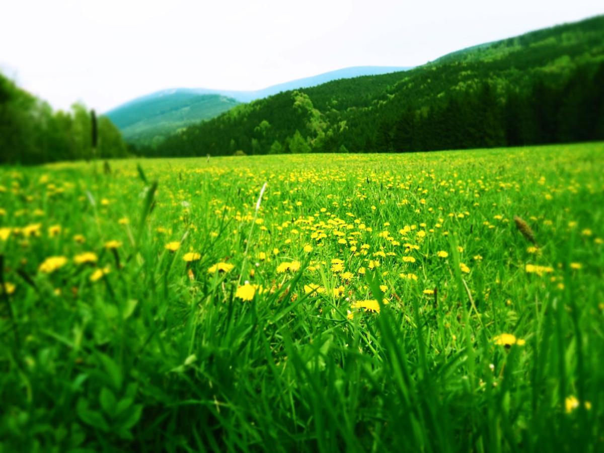 Srub U Lanovky Pansiyon Ramzová Dış mekan fotoğraf